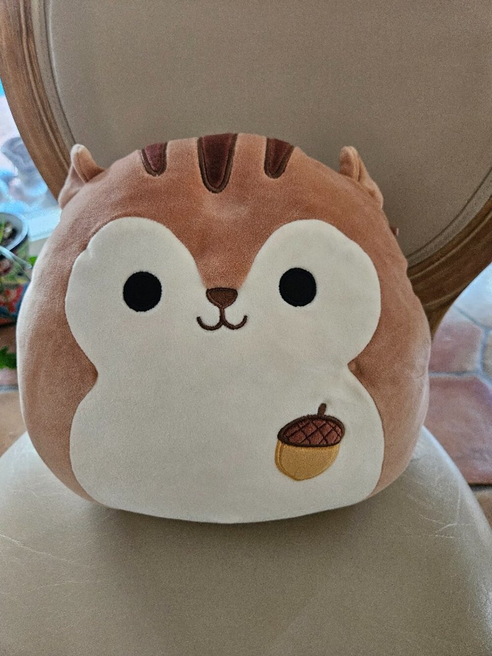 Squishmallows acorn squirrel plush toy